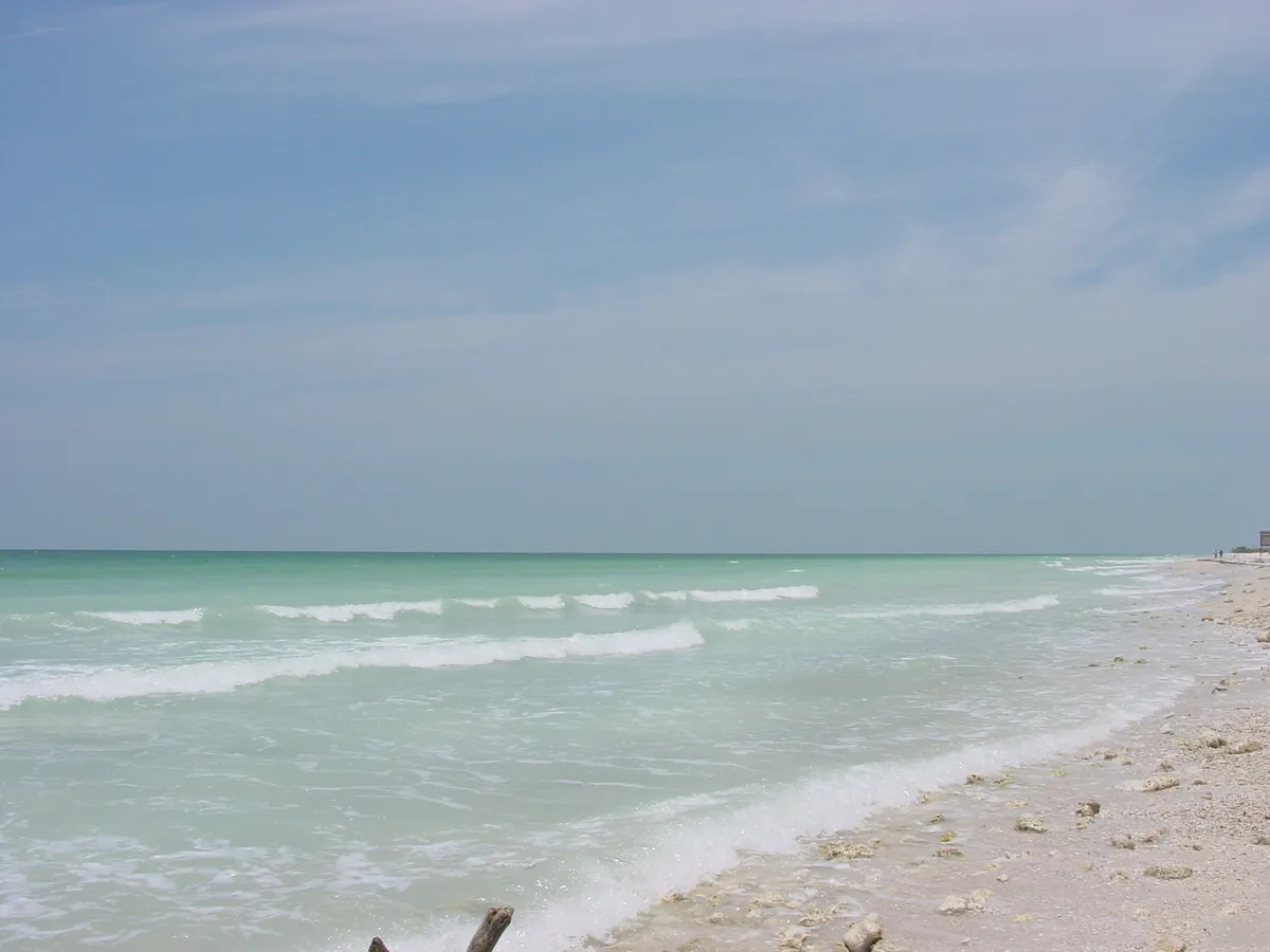 Honeymoon Island State Park off Dunedin in Pinellas County, Florida