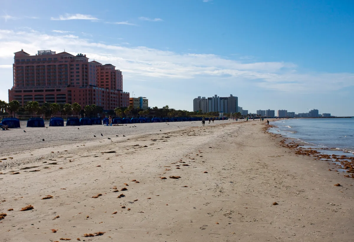 Clearwater, Florida — City in Florida, United States