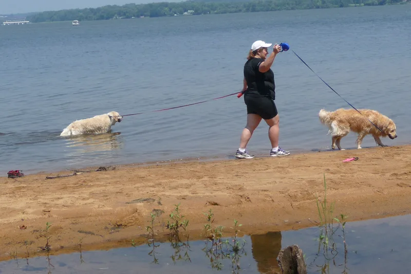 Walking a dog on a leash along a beach trail